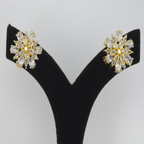 Elegant Golden Cubic Zirconia Earrings – Party & Festive Collection