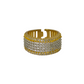 "Aurelix" R0003